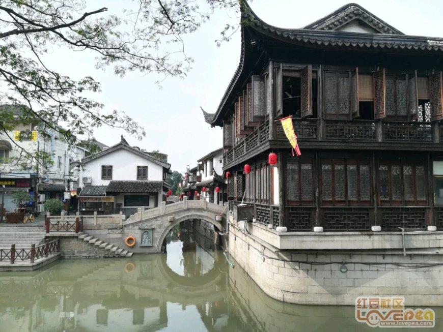 QQ企鹅